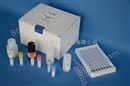 组织乙酰*转移酶（ChAT）活性荧光法定量检测试剂盒